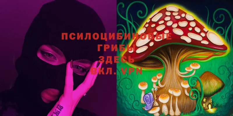 Галлюциногенные грибы MAGIC MUSHROOMS  Кукмор 